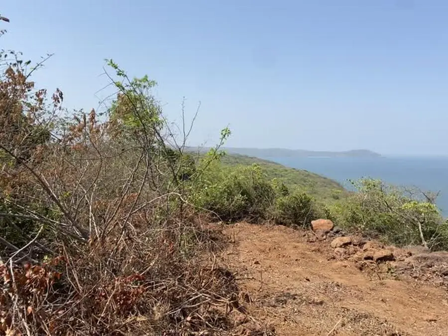 Photograph of scrub and laterite on a coastal ridge at Guhagar, with the sea beyond.